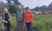 Trail Walking Perros-Guirec - PLOUMANAC DEP. RUE ST GUIREC - Photo 15