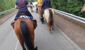 Tocht Paardrijden Saint-Léger-de-Rôtes - rando  equestre st leger de roste - Photo 16