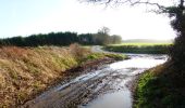 Tour Zu Fuß Winchester - Soberton and Newtown Millennium Walk - Photo 10