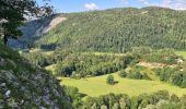 Trail Walking Le Vaudioux - Vaudioux - Belvédère des 3 vallées  - Photo 2