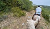 Trail Horseback riding Céreste - Provence 2025 J3 - Photo 9
