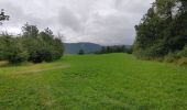 Tour Wandern Le Frasnois - balade des cascades du Hérisson  - Photo 1