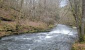 Tocht Stappen Libin - rando redu 31-12-2024 - Photo 15