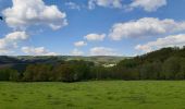 Tour Wandern Stoumont - cour . borgoumont . moulin du ruy . andrimont . cour - Photo 3