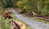 Trail Walking Gerpinnes - Gerpinnes par monts et par vaux - Photo 2