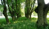 Tour Zu Fuß Weißwasser - Okružní Bělá p. B. - Valdštejnsko - Photo 1