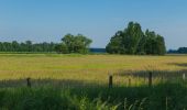 Tocht Te voet Wallenhorst - Hollager Rundwanderweg Nr.2 - Photo 3