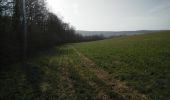 Tour Mountainbike Wirten - Saint-Remy  -  Balade_VTT_28kms - Photo 19