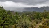 Excursión Senderismo Moustiers-Sainte-Marie - La chaîne, Courchon  - Photo 5