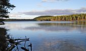 Percorso A piedi Suomussalmi - Huosiuksen Huikoinen - Photo 10