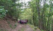 Trail Walking Wegscheid - Sortie école primaire - Rossberg - Photo 1
