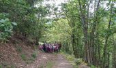 Excursión Senderismo Wegscheid - Sortie école primaire - Rossberg - Photo 1