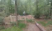 Trail Walking Hoogstraten - Wortel-Kolonie  - Photo 11