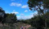 Trail Walking La Crau - La Navarre - Photo 3