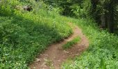 Tocht Stappen Autrans-Méaudre en Vercors - La grande Breche - Photo 14