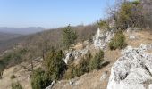 Excursión A pie okres Piešťany - SK-Náučný chodník Čerenec, Tlstá Hora, Malá Pec, Veľká Pec, Barónov hrob - Photo 5