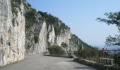 Excursión A pie Trieste - Sentiero Nicolò Cobolli - Photo 9