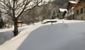 Tocht Sneeuwschoenen Saint-Julien-Mont-Denis - Tourmentier avec Marie Richard - Photo 1