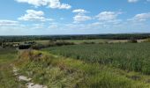 Tour Wandern Champigny-sur-Veude - Lémeré Fontaine de Jable - variante PR de Champigny-sur-Veude - 13.1km 160m 3h00 - 2024 08 25 - Photo 2