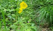Trail Walking Soulom - Ortiac- Abbayie St Orens - Photo 3