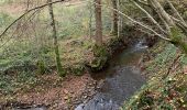 Tour Wandern Aywaille - Boucle de Pouhon - Photo 9