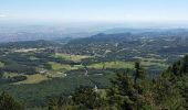 Excursión Senderismo Orcines - Ceyssat,Puy de Dôme  - Photo 1