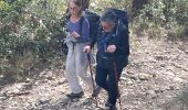 Excursión Senderismo Cheval-Blanc - PF-Cheval-Blanc - La Roquette - Le Trou du Rat - MDu - Photo 11