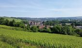 Tocht Stappen Château-Thierry - Château - Aulnois - Château du 26/05/2020 - Photo 1