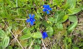 Trail Walking Thoiry - 190523 pointe de la Gallopaz - Photo 3