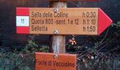 Tour Zu Fuß Vaglia - Sentiero CAI 12 - Sez. Sesto Fiorentino - Photo 1