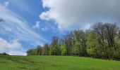 Tour Wandern Libin - rando redu  11-05-2023 - Photo 15