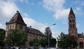 Tour Wandern Günsbach - Gunsbach - Munster - Photo 10
