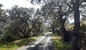 Excursión Senderismo Collioure - autour de Collioure a travers les vignes - Photo 11