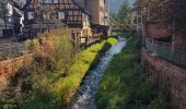 Excursión Senderismo Schramberg - Schramberg - Châteaux de Falkenstein et de Hohenschramberg - Photo 1