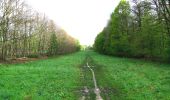 Trail On foot Villers-Cotterêts - le GR11A  dans la Forêt de Retz  - Photo 18