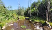 Tocht Stappen Houffalize - rando wibrin 5-06-2023 - Photo 16