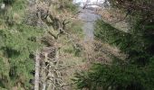 Tocht Te voet Bad Tabarz - Tabarz - Felsental - Großer Inselberg (Gelbes Quadrat) - Photo 1