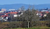 Excursión A pie Eberdingen - DE-SAV Blauer Balken, Vaihingen/Enz - Weissach - Silbertor - Photo 8