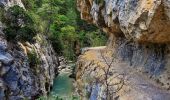 Trail Walking Estoublon - Gorges de Trévans - Photo 15
