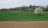 Tour Zu Fuß Bilzen - Kalverpad Spouwen - Photo 5