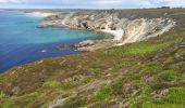 Tocht Stappen Crozon - Morgat - Pointe de la Chèvre - Photo 9