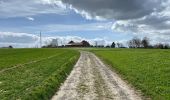Trail Walking Oudenaarde - Edelare 18,8 km - Photo 11