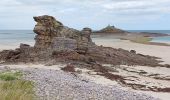 Tour Wandern Erquy - VARIANTE SUR LE CIRCUIT DE L'  ILOT ST MICHEL ET DES MOULINS - Photo 4