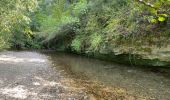 Tour Wandern Chamaret - Borries de chamaret  - Photo 4