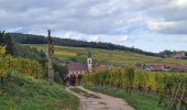 Randonnée Marche Nothalten - L'Abbaye de Baumgarten - Photo 8