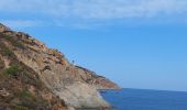 Trail Walking Calvi - Phare de Revellata - Photo 8