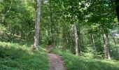 Tour Wandern Profondeville -  RB-NA-20-R2 / Profondeville / 2020-07-11 / 15 km - Photo 15