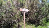 Tour Wandern Ribeira da Janela - Levada dos Cedros - Photo 5