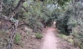 Trail Walking Tossa de Mar - Wikiloc - GR 92- Catalunya - J2 - Tossa de Mar - Sant Feliu de Guixols - Photo 1