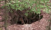 Tour Zu Fuß Schriesheim - Rundwanderweg Pappelbach 4: Pappelbachtal - Photo 2